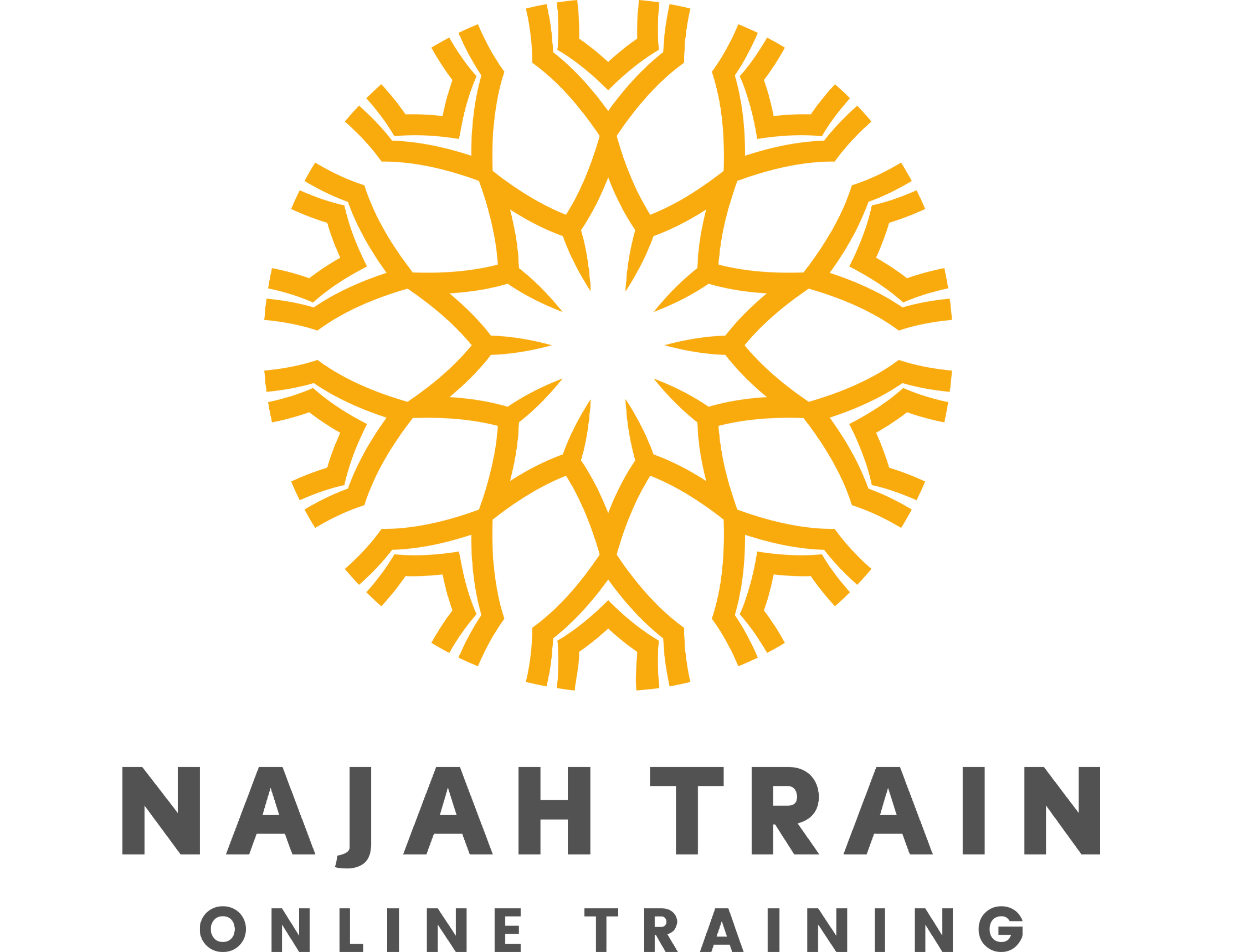 Najah Train